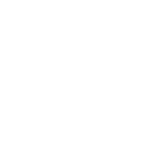 yaaas-client-fischer-logo